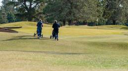 Cart hire available at Kaiapoi Golf Club