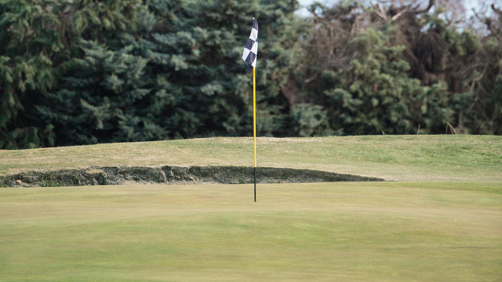 View the playing calendar at The Kaiapoi Golf Club